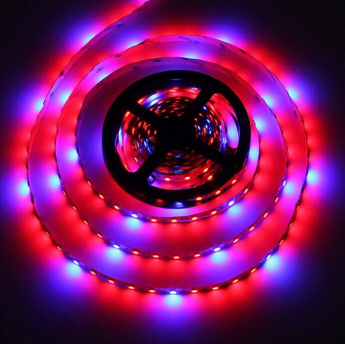 Plant Growth RED:BLUE /660nm:460nm LED Grow Light SMD5050 60LEDs 14.4W Per Meter Strip - LEDStrips8