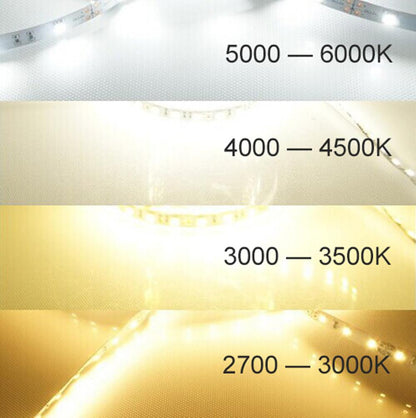 DC 12V Dimmable SMD5050-300 Flexible LED Strips 60 LEDs Per Meter 10mm Width 900lm Per Meter - LEDStrips8