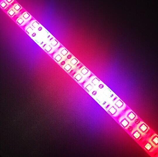 Plant Growth RED:BLUE /660nm:460nm  LED Grow Light  SMD5050 120LEDs  28.8W Per Meter Strip - LEDStrips8