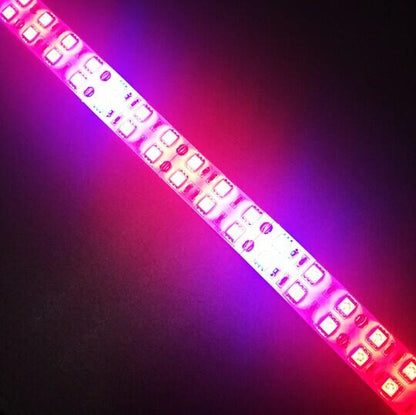 Plant Growth RED:BLUE /660nm:460nm  LED Grow Light  SMD5050 120LEDs  28.8W Per Meter Strip - LEDStrips8