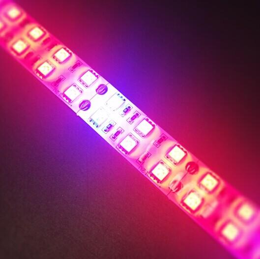 Plant Growth RED:BLUE /660nm:460nm  LED Grow Light  SMD5050 120LEDs  28.8W Per Meter Strip - LEDStrips8