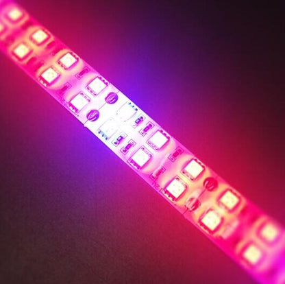 Plant Growth RED:BLUE /660nm:460nm  LED Grow Light  SMD5050 120LEDs  28.8W Per Meter Strip - LEDStrips8